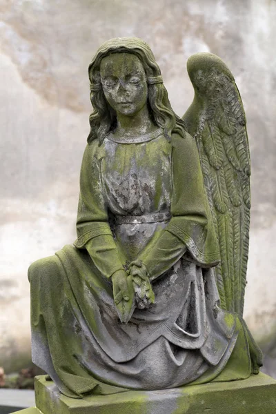 Leeftijd Standbeeld Van Mysterie Oude Begraafplaats Van Praag Tsjechië — Stockfoto
