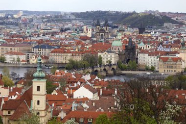 Doğa ve çiçekli ağaçlar, Çek Cumhuriyeti Prag şehir bahar yeşil ile görüntüleyin