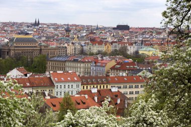 Doğa ve çiçekli ağaçlar, Çek Cumhuriyeti Prag şehir bahar yeşil ile görüntüleyin