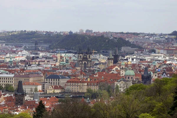 Doğa Çiçekli Ağaçlar Çek Cumhuriyeti Prag Şehir Bahar Yeşil Ile — Stok fotoğraf