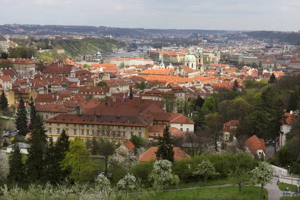 Vista Sobre Primavera Praga Cidade Com Verde Natureza Árvores Floridas — Fotografia de Stock