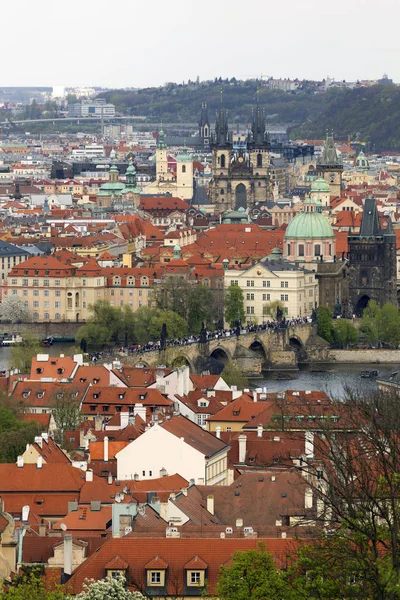 Zobacz Wiosnę Praga Zielonym Natura Kwitnących Drzew Republika Czeska — Zdjęcie stockowe