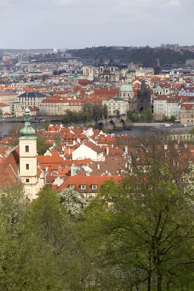 Zobacz Wiosnę Praga Zielonym Natura Kwitnących Drzew Republika Czeska — Zdjęcie stockowe