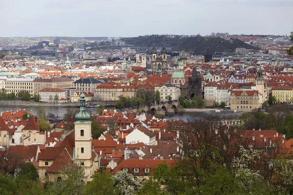 Visa Våren Prague City Med Gröna Naturen Och Blommande Träd — Stockfoto