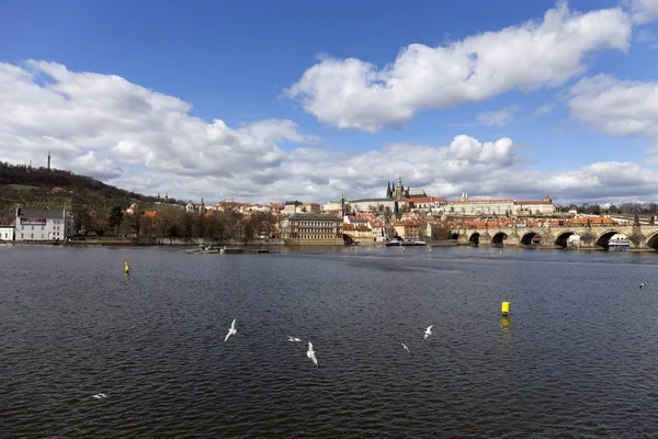 Visa Våren Prague Staden Ovanför Floden Moldau Tjeckien — Stockfoto