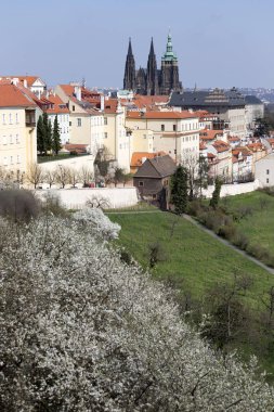 Bahar üzerinde görünümü üzerinde Nehri vltava, Çek Cumhuriyeti Prag şehir