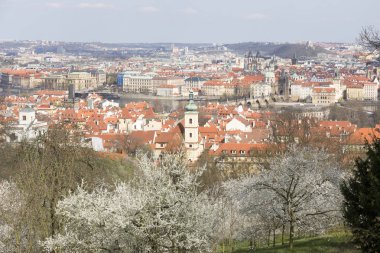 Bahar üzerinde görünümü üzerinde Nehri vltava, Çek Cumhuriyeti Prag şehir
