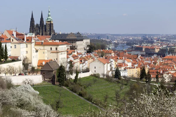 Vue Sur Printemps Prague City Dessus Rivière Vltava République Tchèque — Photo