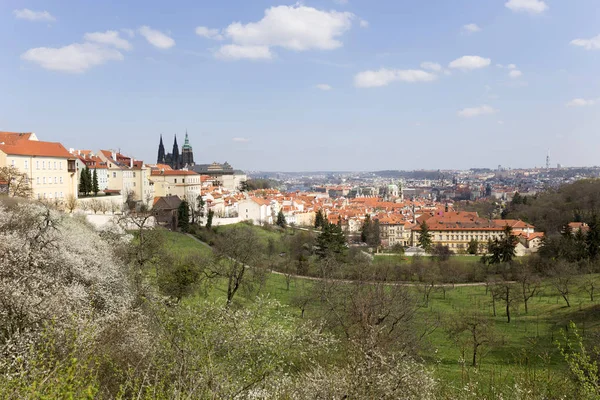 Vue Sur Printemps Prague City Dessus Rivière Vltava République Tchèque — Photo