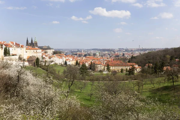 Vue Sur Printemps Prague City Dessus Rivière Vltava République Tchèque — Photo