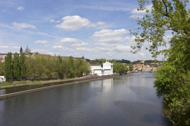 Bahar Prague City ile Gotik Kalesi ve yeşil doğa ve çiçekli ağaçlar, Çek Cumhuriyeti