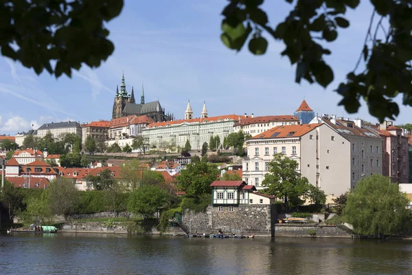 Весенний Город Готическим Замком Зеленой Природой Цветущими Деревьями Чехия — стоковое фото