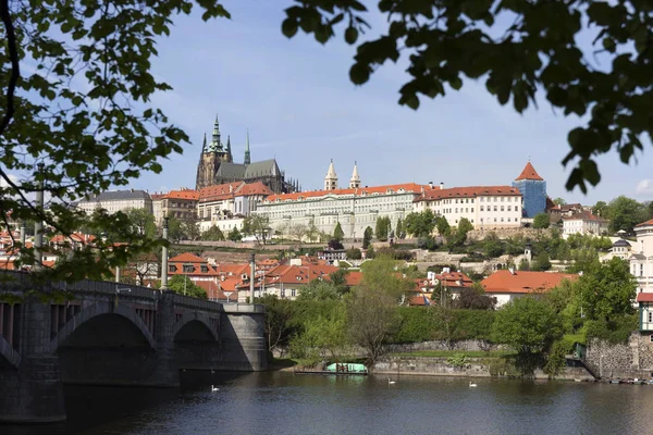 Primavera Praga Ciudad Con Castillo Gótico Naturaleza Verde Los Árboles —  Fotos de Stock