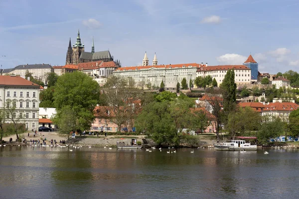 Spring Prague City Gothic Castle Green Nature Flowering Trees Czech — Stock Photo, Image