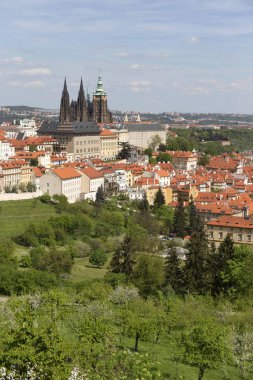 Bahar Prague City ile Gotik Kalesi ve yeşil doğa ve çiçekli ağaçlar, Çek Cumhuriyeti