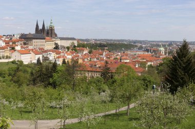 Bahar Prague City ile Gotik Kalesi ve yeşil doğa ve çiçekli ağaçlar, Çek Cumhuriyeti