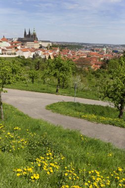 Bahar Prague City ile Gotik Kalesi ve yeşil doğa ve çiçekli ağaçlar, Çek Cumhuriyeti