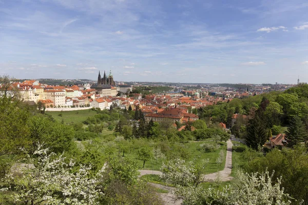 Spring Prague City Gothic Castle Green Nature Flowering Trees Czech — Stock Photo, Image