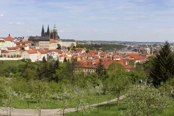 Spring City Miasto Praga Gotyckiego Zamku Zieleni Kwitnących Drzew Republika — Zdjęcie stockowe