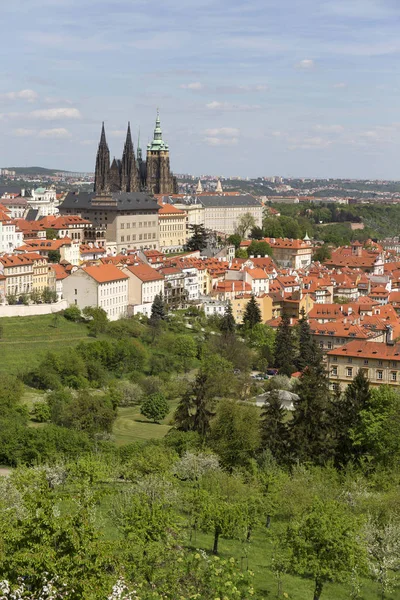 Bahar Prague City ile Gotik Kalesi ve yeşil doğa ve çiçekli ağaçlar, Çek Cumhuriyeti