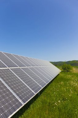Tozlu polen Solar Power Station çayır çiçekli karahindiba ile bahar üzerinde 