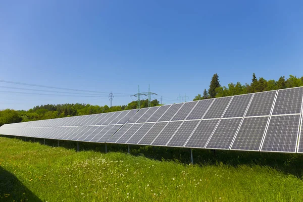 Dusty Pollen Solar Power Station Spring Meadow Flowering Dandelions — Stock Photo, Image