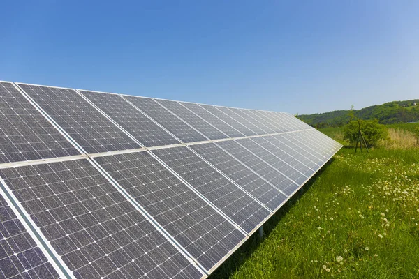 Dusty Pollen Solar Power Station Spring Meadow Flowering Dandelions — Stock Photo, Image