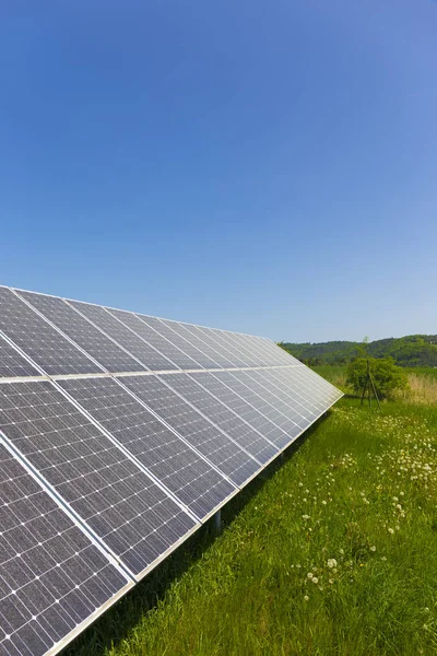 Pólen Empoeirado Solar Power Station Prado Primavera Com Floração Dandelions — Fotografia de Stock