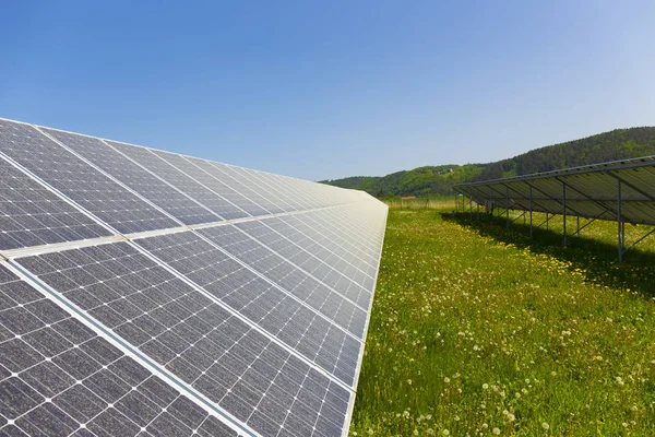 Pólen Empoeirado Solar Power Station Prado Primavera Com Floração Dandelions — Fotografia de Stock