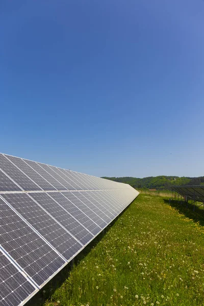 Zakurzone Pyłek Solar Power Station Wiosna Łąka Kwitnące Mlecze — Zdjęcie stockowe