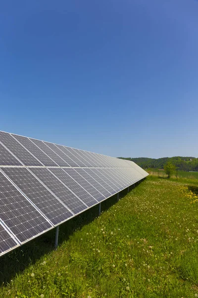 春開花タンポポの草原にほこり花粉太陽光発電所 — ストック写真