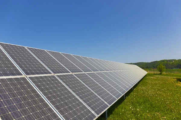 Pólen Empoeirado Solar Power Station Prado Primavera Com Floração Dandelions — Fotografia de Stock