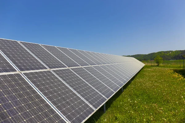 Polen Praf Solar Power Station Pajiștea Primăvară Păpădie Flori — Fotografie, imagine de stoc