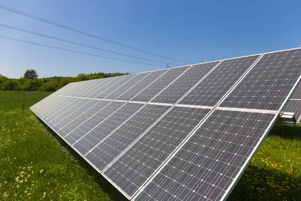 Pólen Empoeirado Solar Power Station Prado Primavera Com Floração Dandelions — Fotografia de Stock