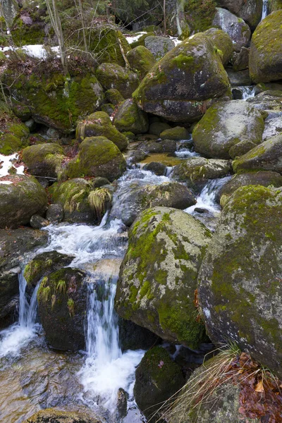 Floresta Boêmia Norte Paisagem Com Fluxo Branco Montanhas Jizera República — Fotografia de Stock