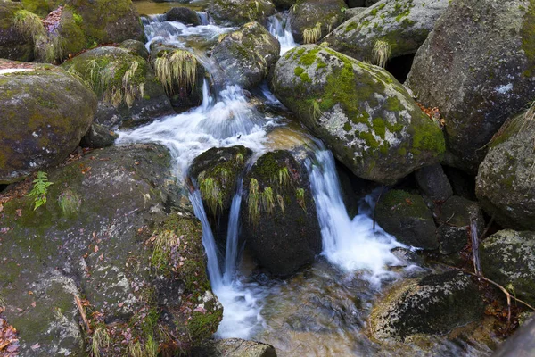 Bosque Bohemia Del Norte Paisaje Con Arroyo Blanco Montañas Jizera —  Fotos de Stock