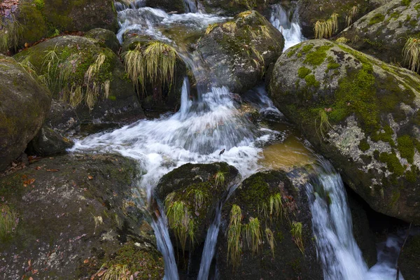 Bosque Bohemia Del Norte Paisaje Con Arroyo Blanco Montañas Jizera —  Fotos de Stock