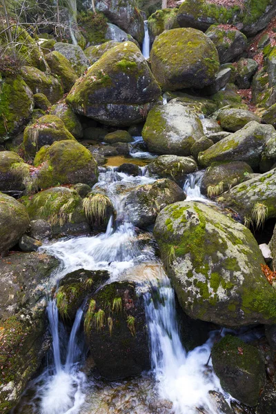 Floresta Boêmia Norte Paisagem Com Fluxo Branco Montanhas Jizera República — Fotografia de Stock