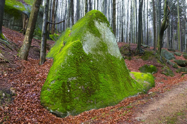 Bosque Bohemia Del Norte Paisaje Con Sus Rocas Árboles Montañas —  Fotos de Stock