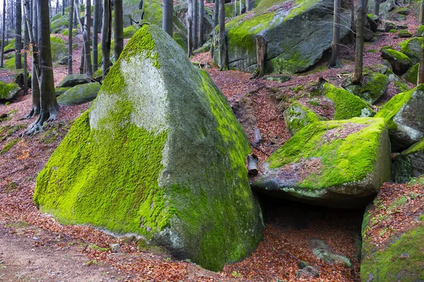 Paysage Forestier Bohême Nord Avec Ses Rochers Ses Arbres Montagnes — Photo