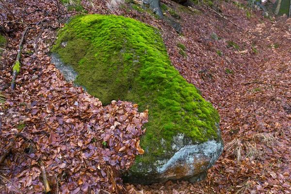 Paysage Forestier Bohême Nord Avec Ses Rochers Ses Arbres Montagnes — Photo