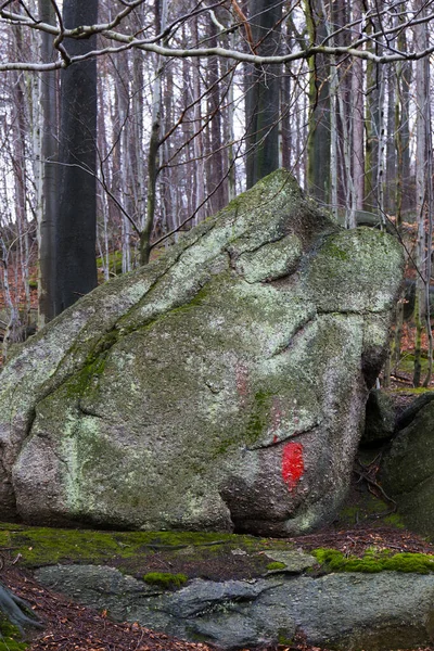 Norra Böhmens Skogslandskap Med Dess Stenblock Och Träd Jizerabergen Tjeckien — Stockfoto