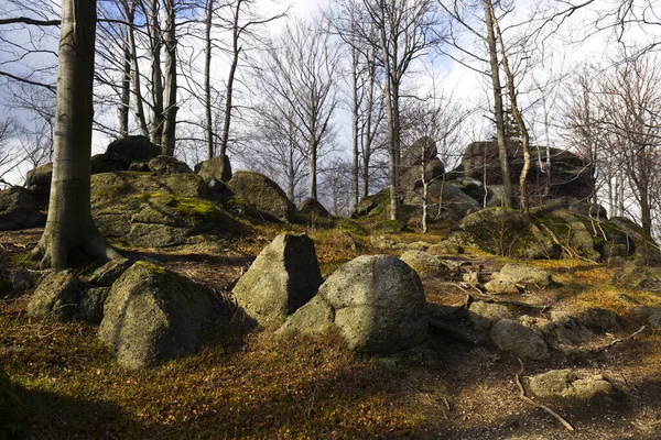 Norra Böhmens Skogslandskap Med Dess Stenblock Och Träd Jizerabergen Tjeckien — Stockfoto