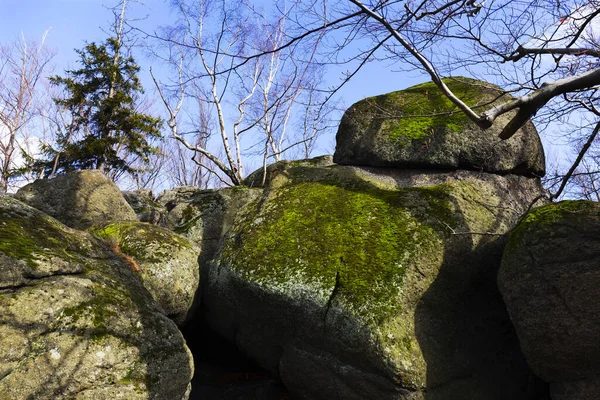 North Bohemia Forest Landscape Its Boulders Trees Jizera Mountains Czech — Stock Photo, Image