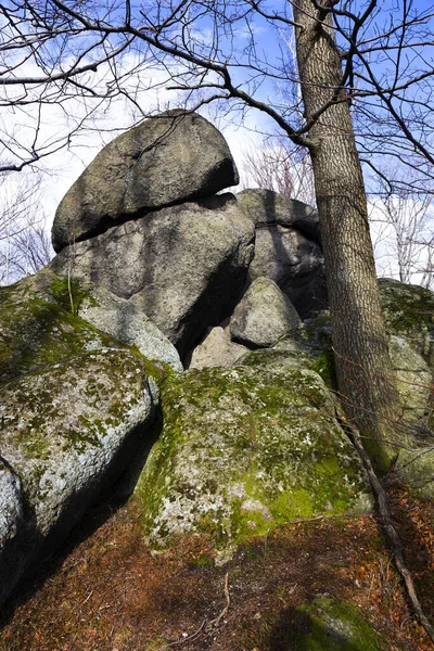 Norra Böhmens Skogslandskap Med Dess Stenblock Och Träd Jizerabergen Tjeckien — Stockfoto