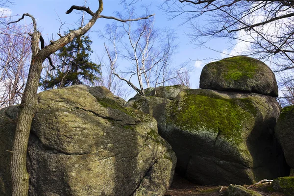 Paysage Forestier Bohême Nord Avec Ses Rochers Ses Arbres Montagnes — Photo