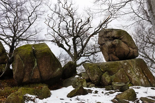 Verschneite Nordböhmische Waldlandschaft Mit Ihren Findlingen Und Bäumen Isergebirge Tschechische — Stockfoto
