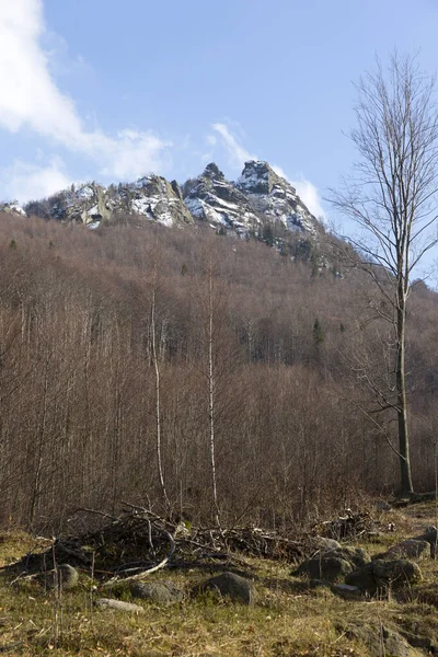 Norte Invierno Bohemia Paisaje Pico Frydlant Cinburi Jizera Mountains República — Foto de Stock