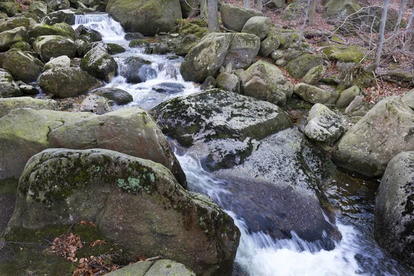 Floresta Boêmia Norte Paisagem Com Suas Pedras Árvores Montanhas Jizera — Fotografia de Stock