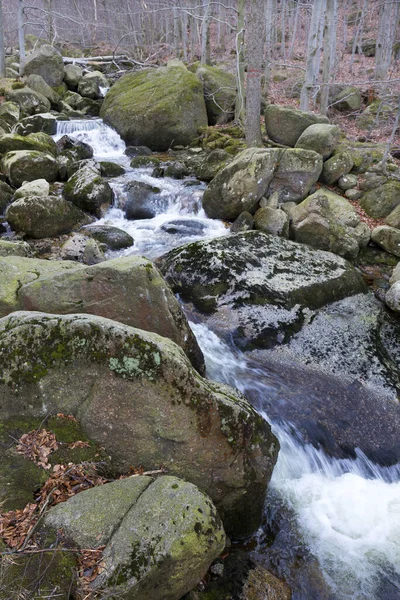 Floresta Boêmia Norte Paisagem Com Suas Pedras Árvores Montanhas Jizera — Fotografia de Stock